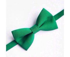 Бабочка однотонная зеленая BC410