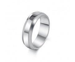 Кольцо из стали базовое R109