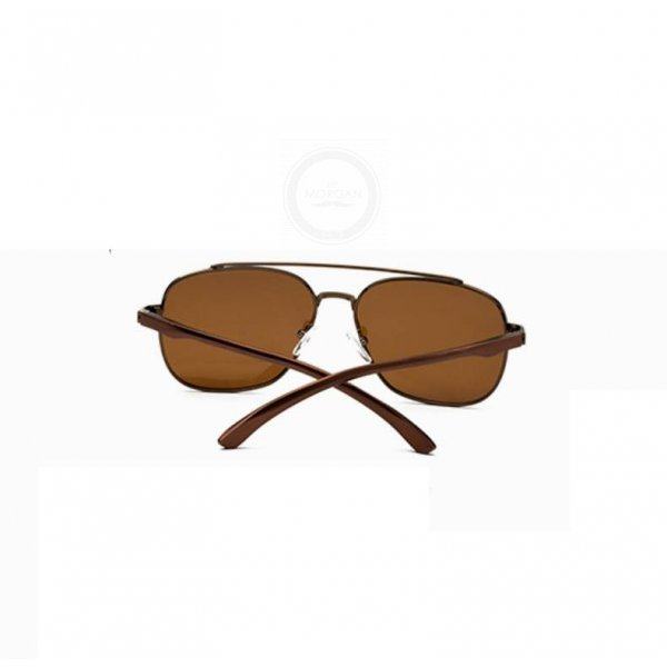 Очки солнцезащитные Brown Dipper SGP1001-C2