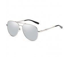 Очки солнцезащитные Silver tarn SGP6121-C2