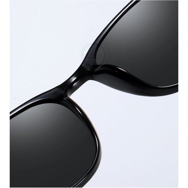 Очки солнцезащитные Black Framer SGP8852-C1