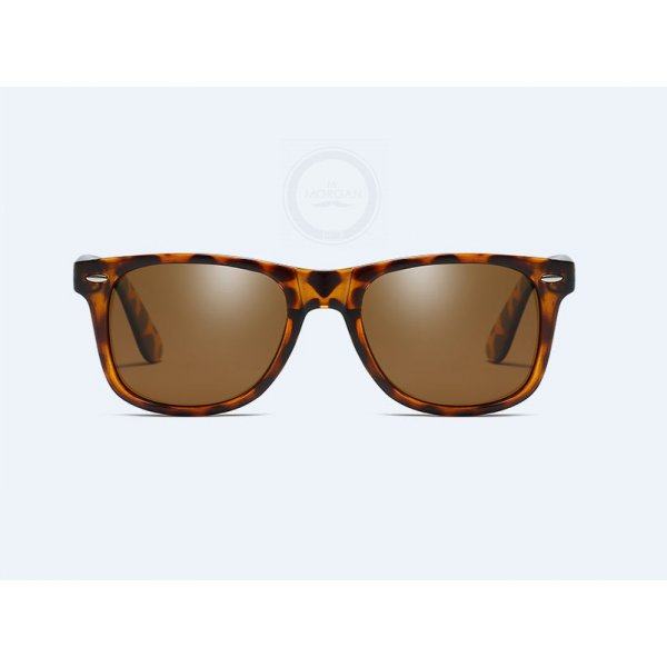 Очки солнцезащитные Leo Warbler SGP2143-C6