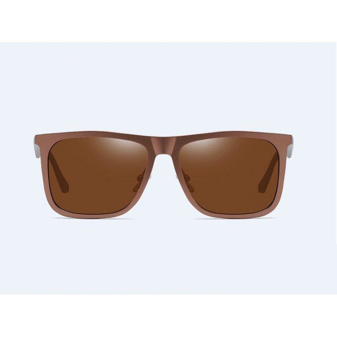 Очки солнцезащитные Brown rhime  SGP6523-C2
