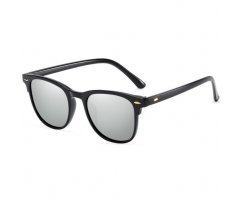 Очки солнцезащитные Silver Framer SGP8852-C2