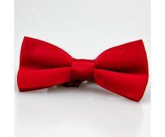 Бабочка однотонная бордовая BT391