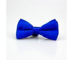 Бабочка однотонная голубая BT392