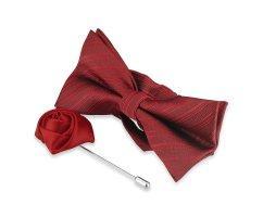 Бабочка в полоску бордовая BT48