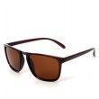 Очки солнцезащитные Brown Lesser SGP6071-C2
