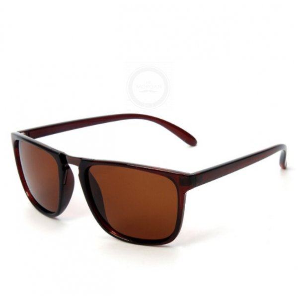 Очки солнцезащитные Brown Lesser SGP6071-C2