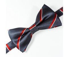 David бабочка красная в полоску BT15