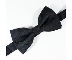 Pierre бабочка черная в полоску BT26